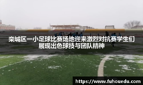 EBET易博真人