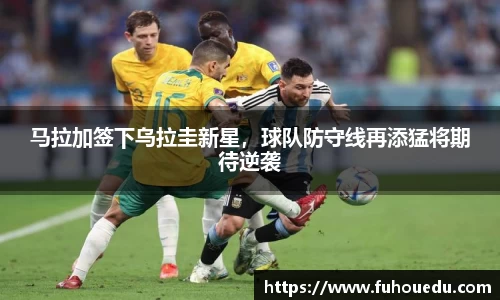 EBET易博官网